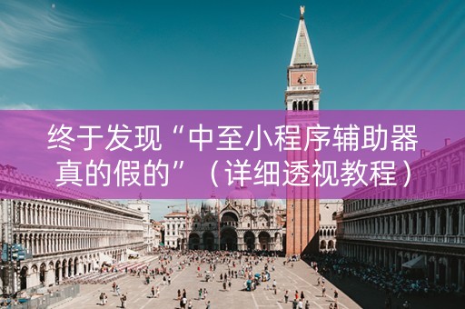 终于发现“中至小程序辅助器真的假的”（详细透视教程）-哔哩哔哩
