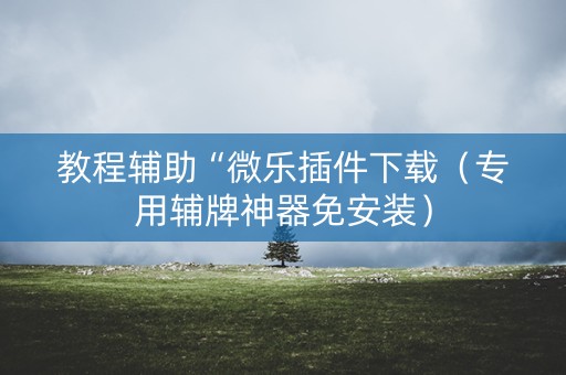 教程辅助“微乐插件下载（专用辅牌神器免安装）
