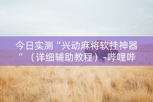 今日实测“兴动麻将软挂神器”（详细辅助教程）-哔哩哔哩