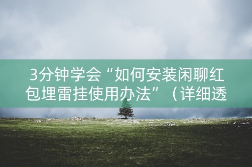 3分钟学会“如何安装闲聊红包埋雷挂使用办法”（详细透视教程）-哔哩哔哩