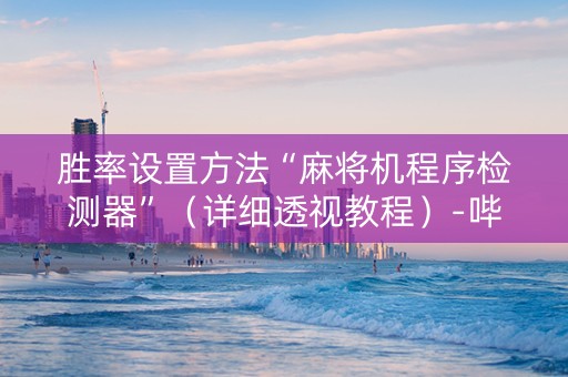 胜率设置方法“麻将机程序检测器”（详细透视教程）-哔哩哔哩