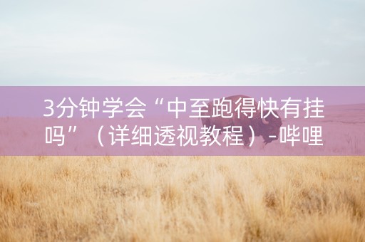 3分钟学会“中至跑得快有挂吗”（详细透视教程）-哔哩哔哩