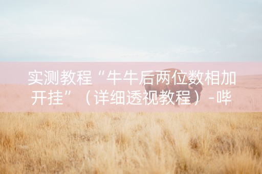 实测教程“牛牛后两位数相加开挂”（详细透视教程）-哔哩哔哩