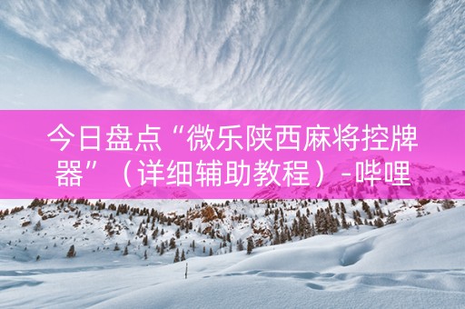 今日盘点“微乐陕西麻将控牌器”（详细辅助教程）-哔哩哔哩