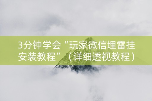 3分钟学会“玩家微信埋雷挂安装教程”（详细透视教程）-哔哩哔哩