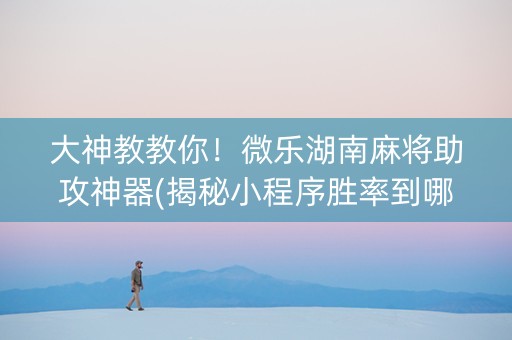 大神教教你！微乐湖南麻将助攻神器(揭秘小程序胜率到哪调)