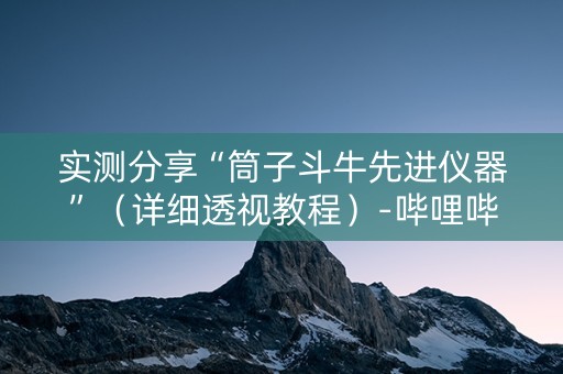 实测分享“筒子斗牛先进仪器”（详细透视教程）-哔哩哔哩
