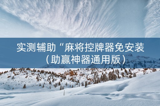 实测辅助“麻将控牌器免安装（助赢神器通用版）