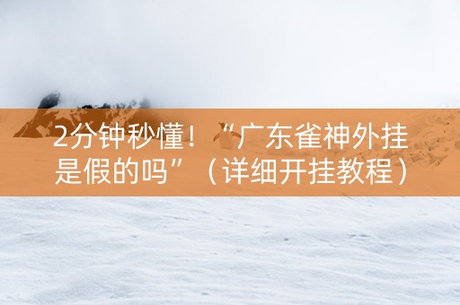 2分钟秒懂！“广东雀神外挂是假的吗”（详细开挂教程）-哔哩哔哩