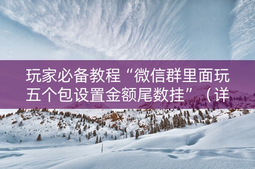 玩家必备教程“微信群里面玩五个包设置金额尾数挂”（详细透视教程）-哔哩哔哩