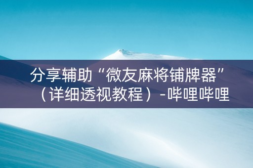 分享辅助“微友麻将铺牌器”（详细透视教程）-哔哩哔哩