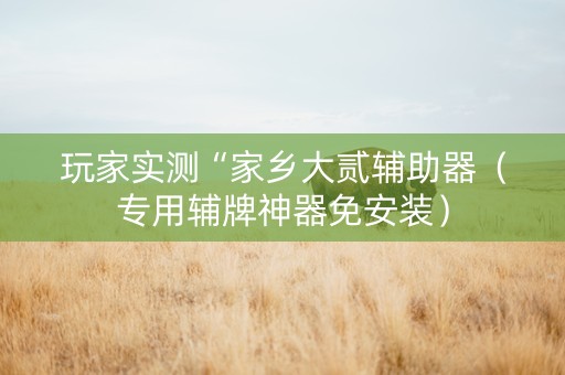 玩家实测“家乡大贰辅助器（专用辅牌神器免安装）