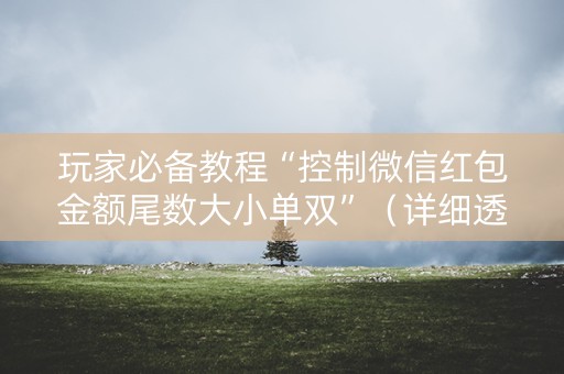 玩家必备教程“控制微信红包金额尾数大小单双”（详细透视教程）-哔哩哔哩