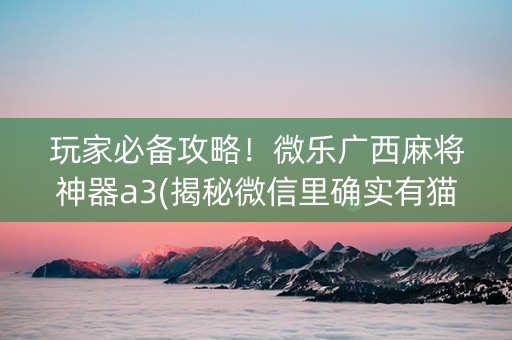 玩家必备攻略！微乐广西麻将神器a3(揭秘微信里确实有猫腻)