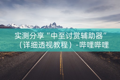 实测分享“中至讨赏辅助器”（详细透视教程）-哔哩哔哩