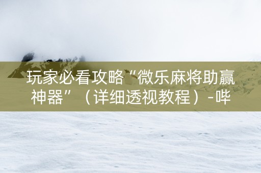 玩家必看攻略“微乐麻将助赢神器”（详细透视教程）-哔哩哔哩