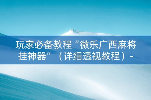 玩家必备教程“微乐广西麻将挂神器”（详细透视教程）-哔哩哔哩