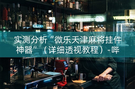 实测分析“微乐天津麻将挂件神器”（详细透视教程）-哔哩哔哩