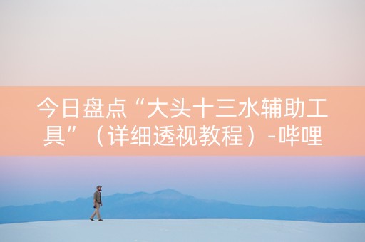 今日盘点“大头十三水辅助工具”（详细透视教程）-哔哩哔哩