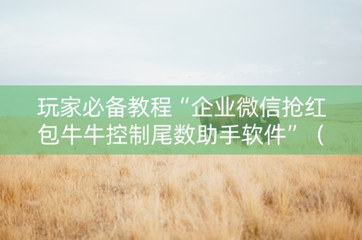 玩家必备教程“企业微信抢红包牛牛控制尾数助手软件”（详细透视教程）-哔哩哔哩