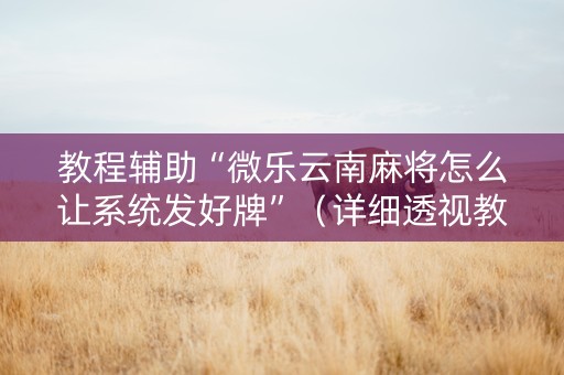 教程辅助“微乐云南麻将怎么让系统发好牌”（详细透视教程）-哔哩哔哩