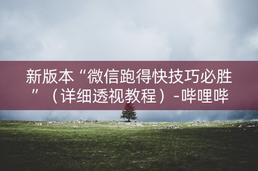 新版本“微信跑得快技巧必胜”（详细透视教程）-哔哩哔哩