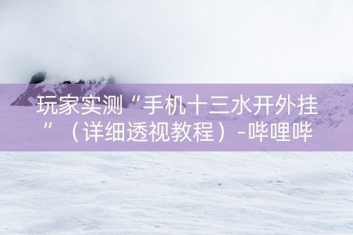 玩家实测“手机十三水开外挂”（详细透视教程）-哔哩哔哩