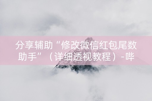 分享辅助“修改微信红包尾数助手”（详细透视教程）-哔哩哔哩