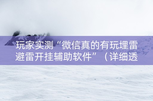 玩家实测“微信真的有玩埋雷避雷开挂辅助软件”（详细透视教程）-哔哩哔哩