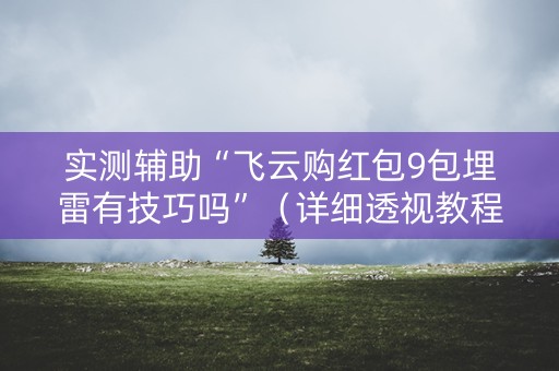 实测辅助“飞云购红包9包埋雷有技巧吗”（详细透视教程）-哔哩哔哩