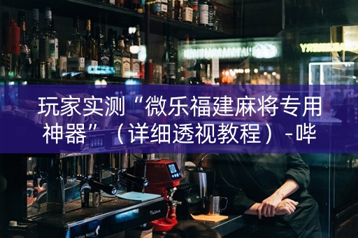 玩家实测“微乐福建麻将专用神器”（详细透视教程）-哔哩哔哩
