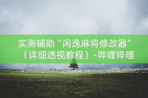 实测辅助“闲逸麻将修改器”（详细透视教程）-哔哩哔哩