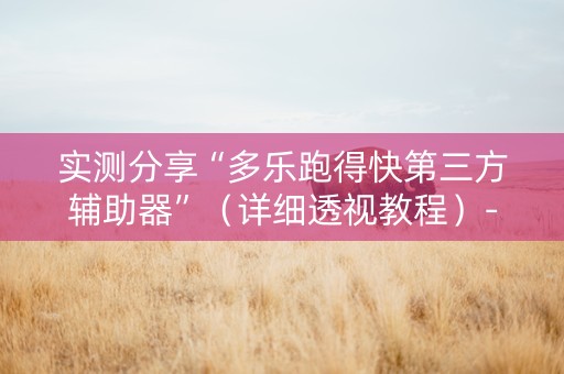 实测分享“多乐跑得快第三方辅助器”（详细透视教程）-哔哩哔哩