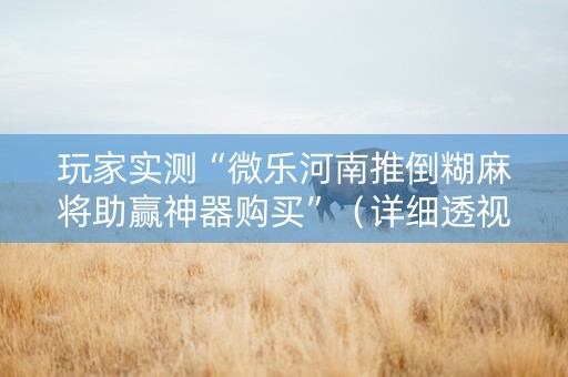 玩家实测“微乐河南推倒糊麻将助赢神器购买”（详细透视教程）-哔哩哔哩