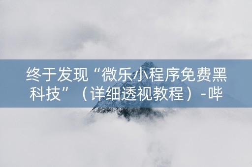 终于发现“微乐小程序免费黑科技”（详细透视教程）-哔哩哔哩