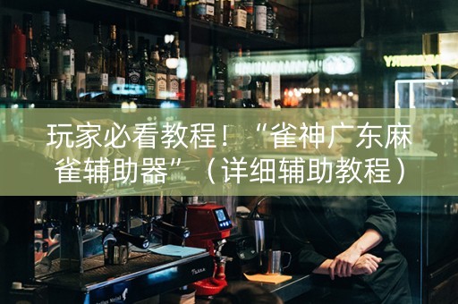 玩家必看教程！“雀神广东麻雀辅助器”（详细辅助教程）-哔哩哔哩