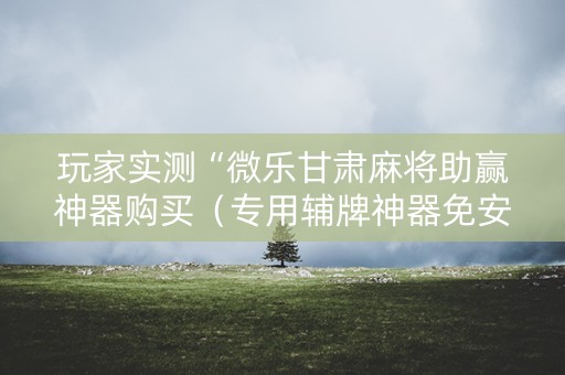 玩家实测“微乐甘肃麻将助赢神器购买（专用辅牌神器免安装）