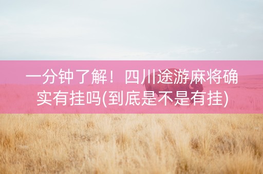一分钟了解！四川途游麻将确实有挂吗(到底是不是有挂)