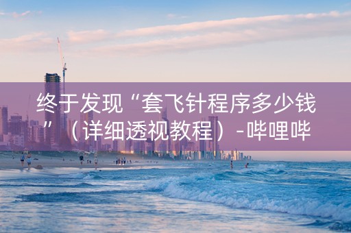 终于发现“套飞针程序多少钱”（详细透视教程）-哔哩哔哩
