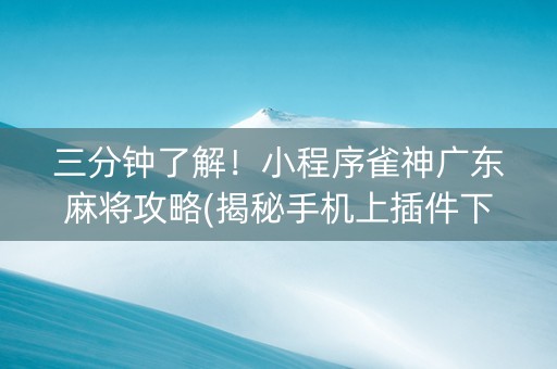 三分钟了解！小程序雀神广东麻将攻略(揭秘手机上插件下载)