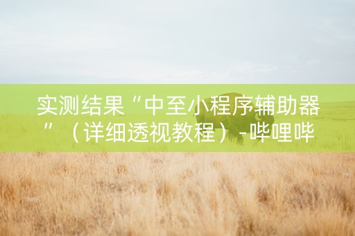 实测结果“中至小程序辅助器”（详细透视教程）-哔哩哔哩