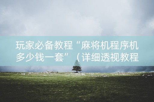 玩家必备教程“麻将机程序机多少钱一套”（详细透视教程）-哔哩哔哩