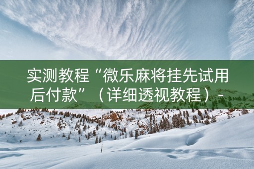 实测教程“微乐麻将挂先试用后付款”（详细透视教程）-哔哩哔哩