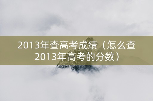 2013年查高考成绩（怎么查2013年高考的分数）