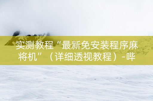 实测教程“最新免安装程序麻将机”（详细透视教程）-哔哩哔哩