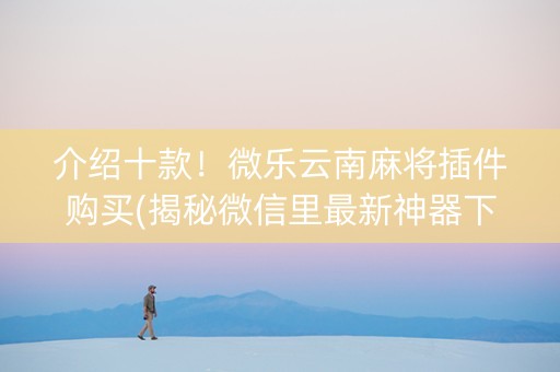 介绍十款！微乐云南麻将插件购买(揭秘微信里最新神器下载)
