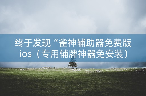 终于发现“雀神辅助器免费版ios（专用辅牌神器免安装）