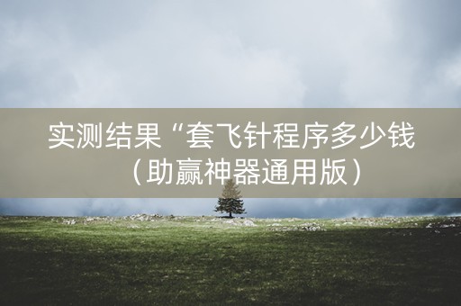 实测结果“套飞针程序多少钱（助赢神器通用版）