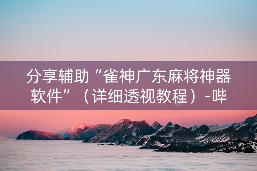 分享辅助“雀神广东麻将神器软件”（详细透视教程）-哔哩哔哩