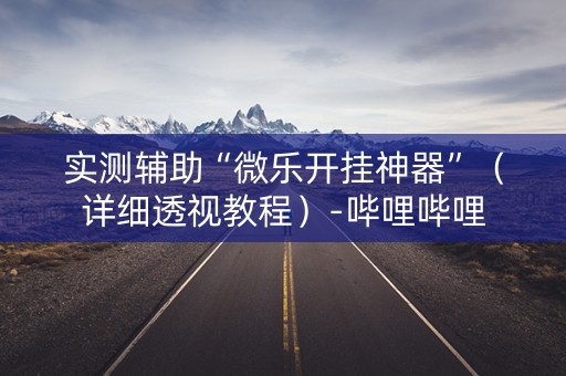 实测辅助“微乐开挂神器”（详细透视教程）-哔哩哔哩